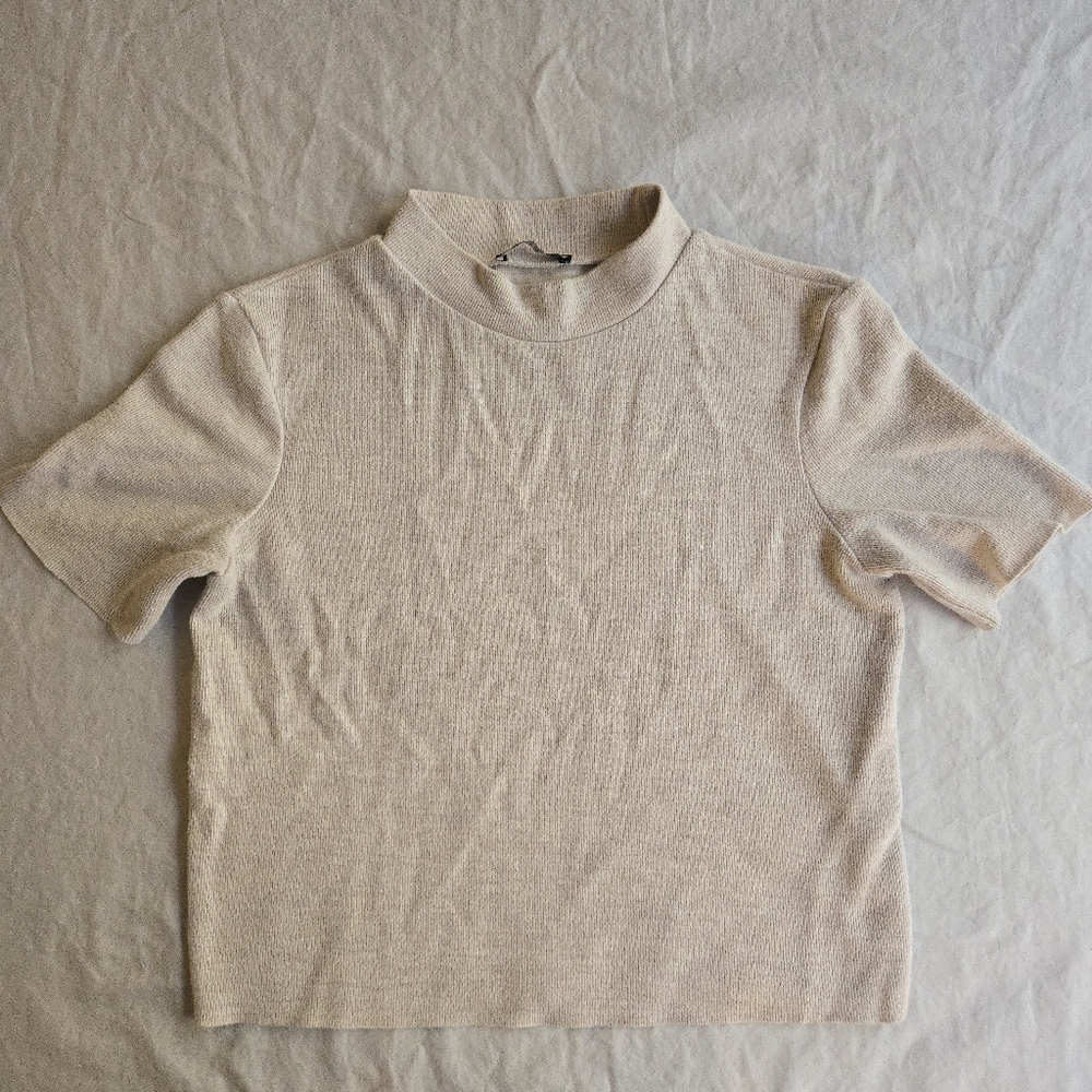 Zara Cream Oatmeal Fuzzy Rib Mockneck Short Sleeve Cropped Top